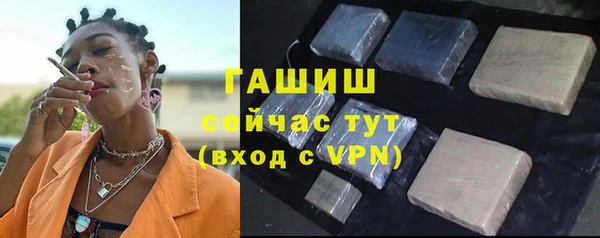 трава Белокуриха