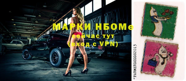 трава Белокуриха