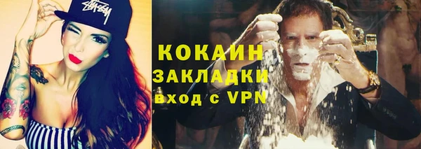 трава Белокуриха