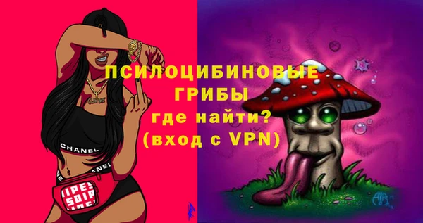 трава Белокуриха